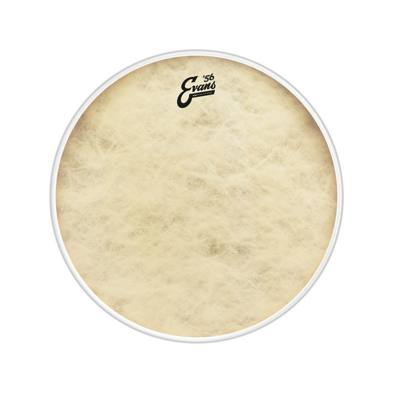 EVANS 24 EQ4 Calftone BD24GB4CT