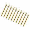 Sparedrum TRC-52W-BR Golden Screw 52mm