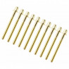 Sparedrum TRC-56-BR Golden Screw 56mm