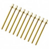 Sparedrum TRC-65W-BR Golden Screw 65mm