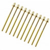 Sparedrum TRC-75W-BR Golden Screw 75mm