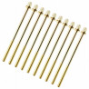 Sparedrum TRC-102W-BR Golden Screw 102mm