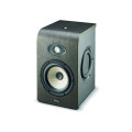 Focal Shape 65 Monitor