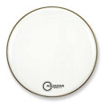 Aquarian 22" Force II Gloss White FR22WH